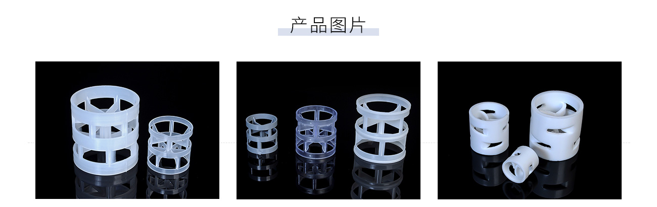 塑料鮑爾環(huán)1300_05.jpg